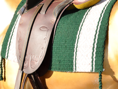 Saddles