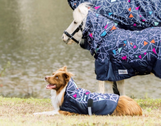 Eureka 1200D Viking Dog Coat - Grey/Blue - Image 2