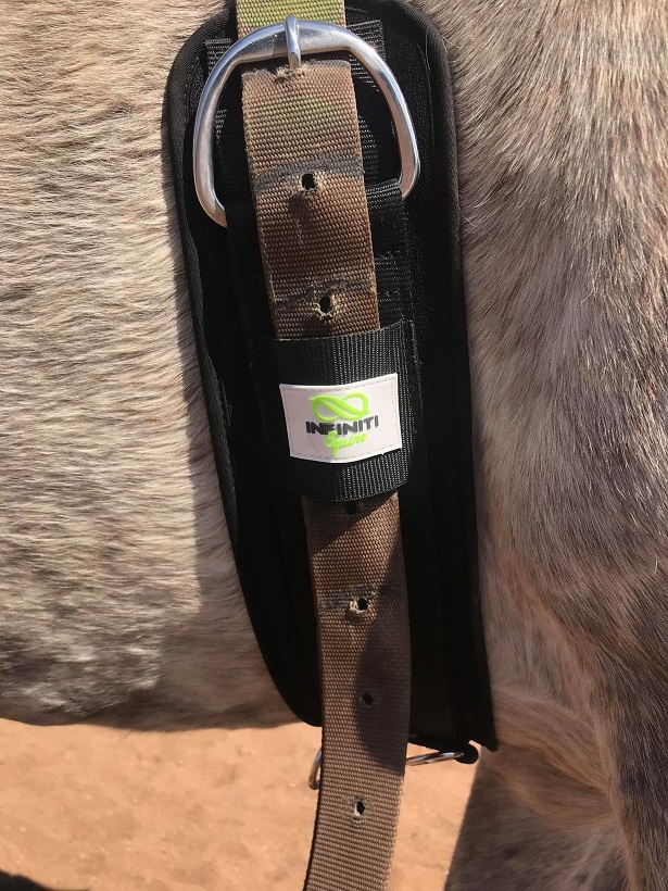 Infiniti Antigall Girth - Image 2