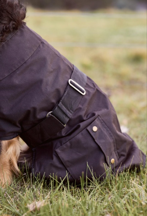 Nullabor Oilskin Dog Rug - Image 3