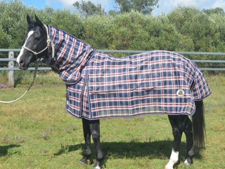 Summer Rugs