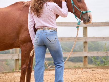 Wrangler/ Cinch